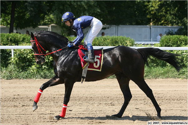 Дмитрий Кокорин