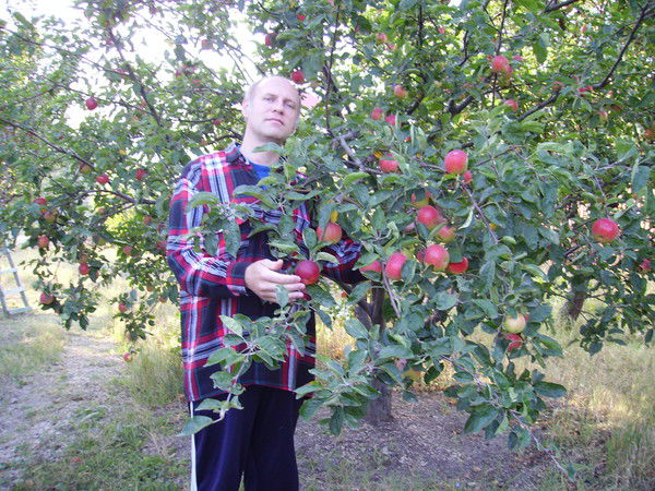 Александр Шапошников