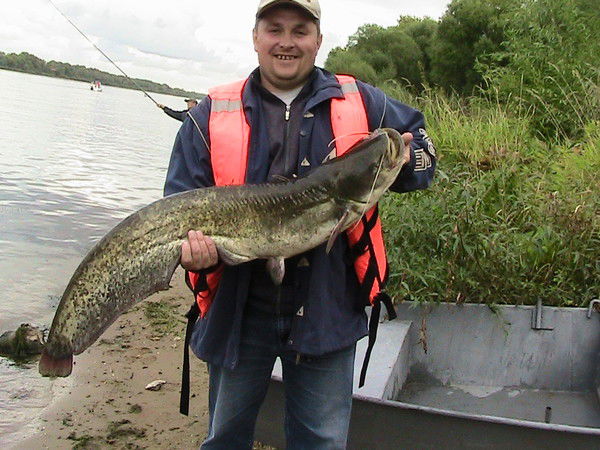 Борис Моисеенков