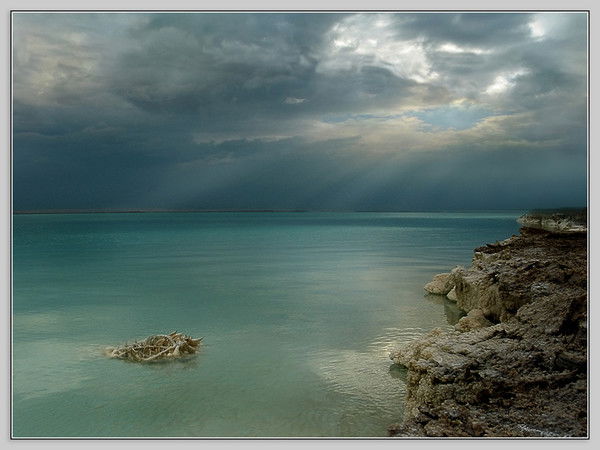 Павел Дорофеев