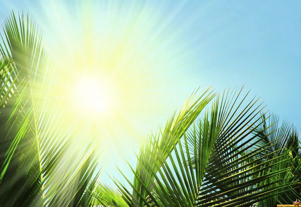 Наталья Половых