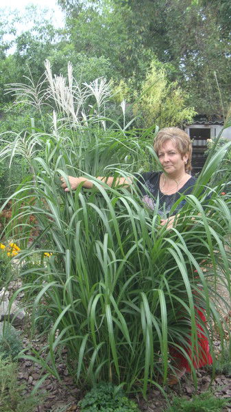 Наталия Могучева