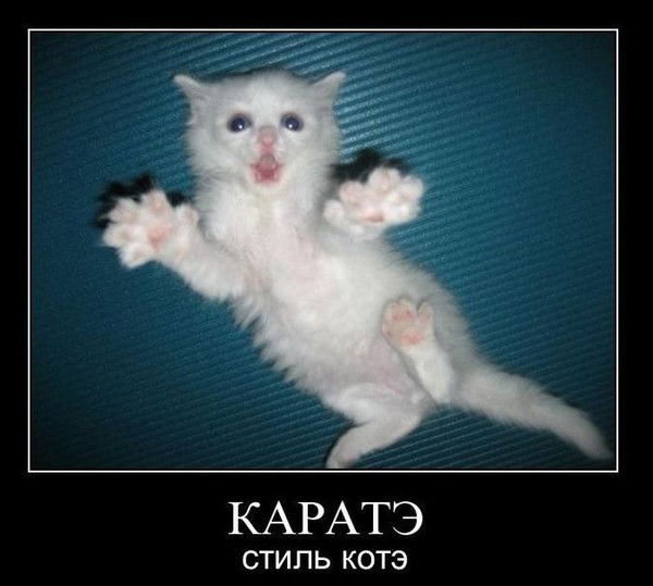 Владислав Першин