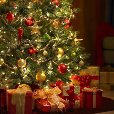 Наталья Вавилова