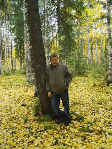 Александр Томин