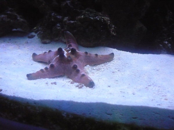 Константин Ушаков