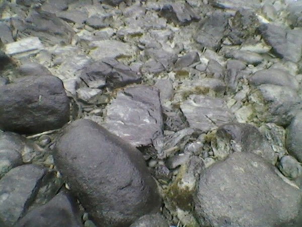 Виталий Зырянов