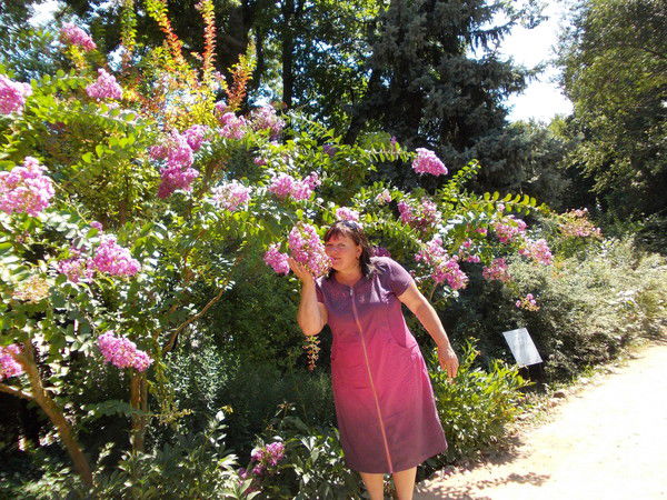 Алла Тарасова(Шилина)