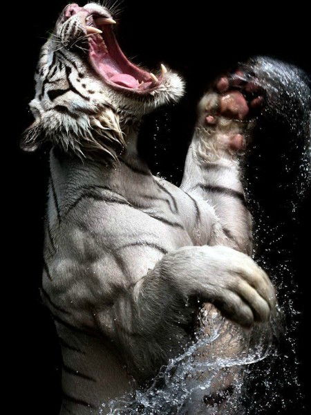 Мунарбек Иметбаев