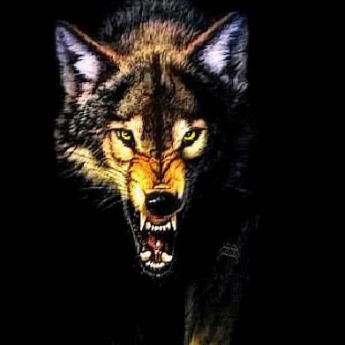 Ирина Андрюкевич