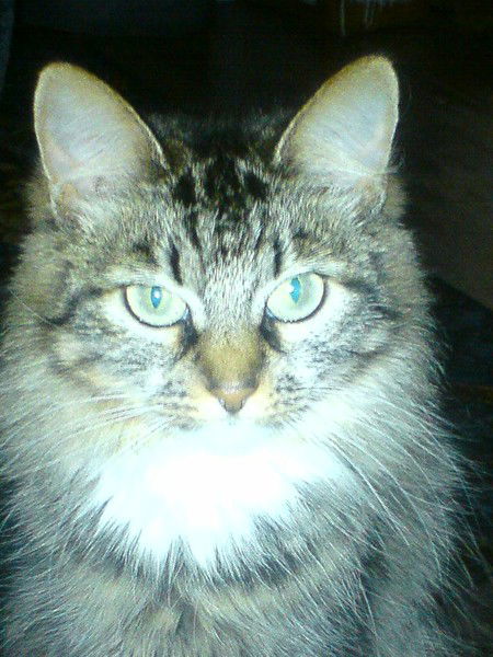 Валентина Красных