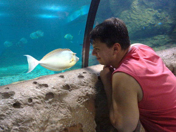 Андрей Каргин