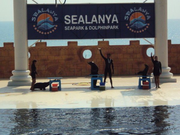 Екатерина Уваева