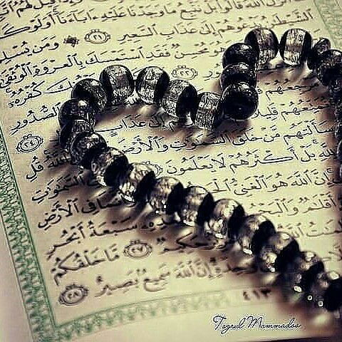 Салтанат Мелисова