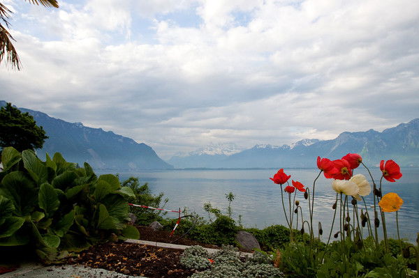 Просто Анатольевич