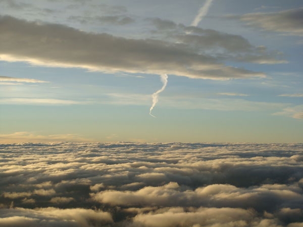 Елена Близнякова