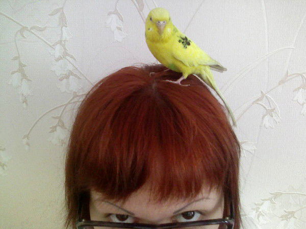 Татьяна Михайлова