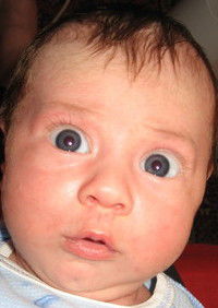 Эльза Олейник