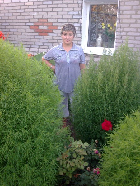 Алёна Андросян