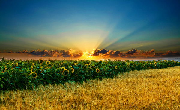 Алибек Мадаминов