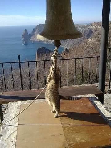 Александр Иванов