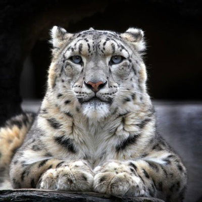 Рома Никандров