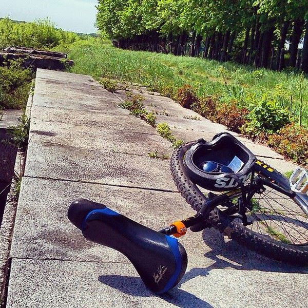 Анна Смирнова