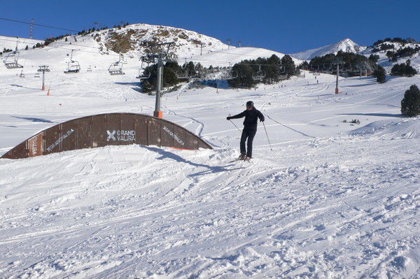 Дмитрий Цветков