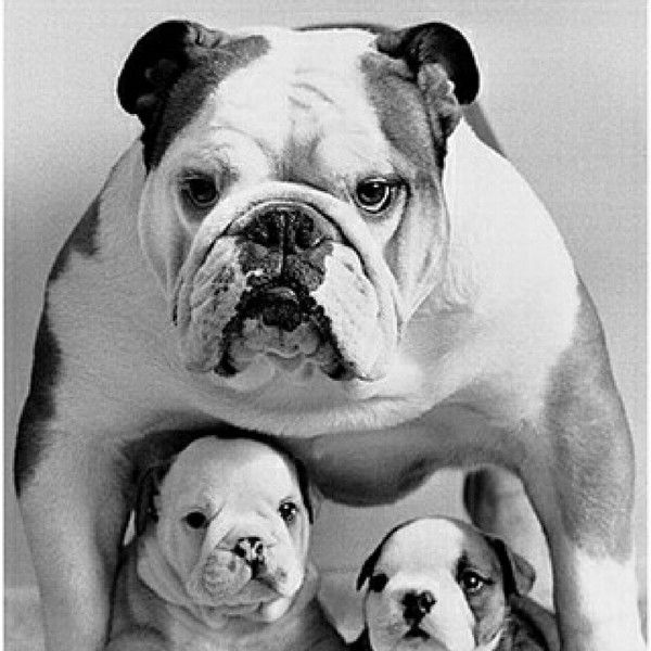 Алексей Муковнин