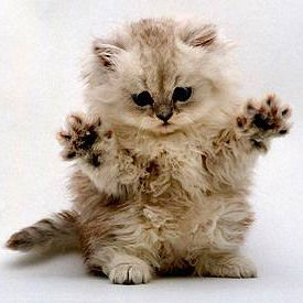 Виктория Красильникова