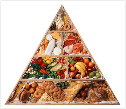 Ооо Балтия Сапори