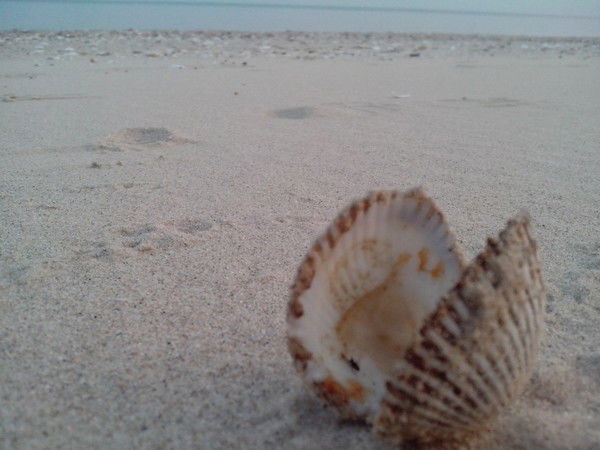 Юлия Ковальчук