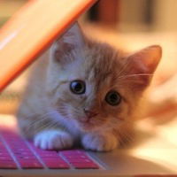 Азалия Хайруллина