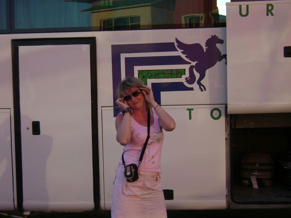 Елена Ступина