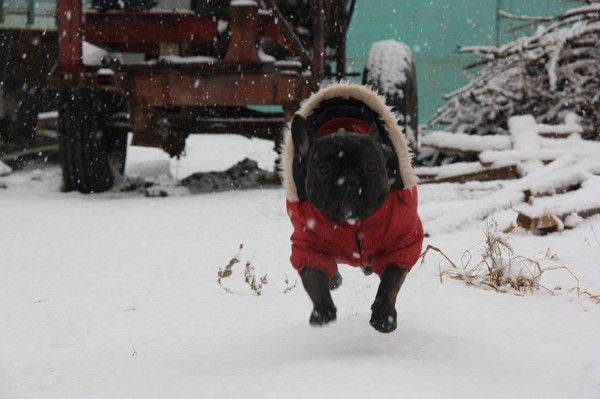 Игорь Новичков