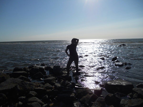 Елена Воронова