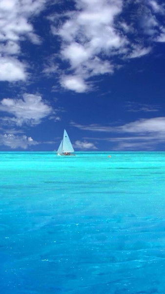 Тимур Халилов