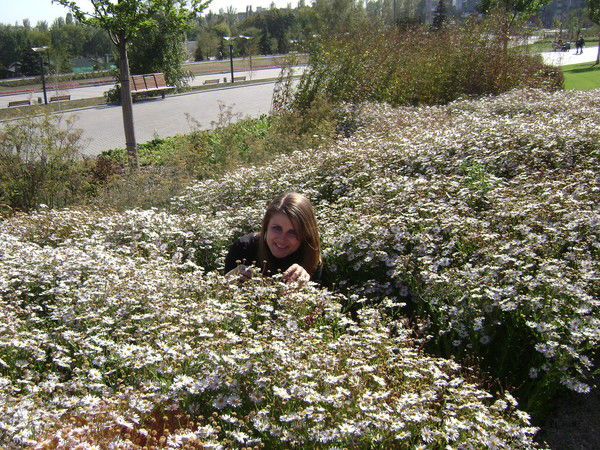 Анжелика Анжусик