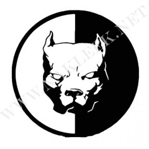 Килибаев Сергей