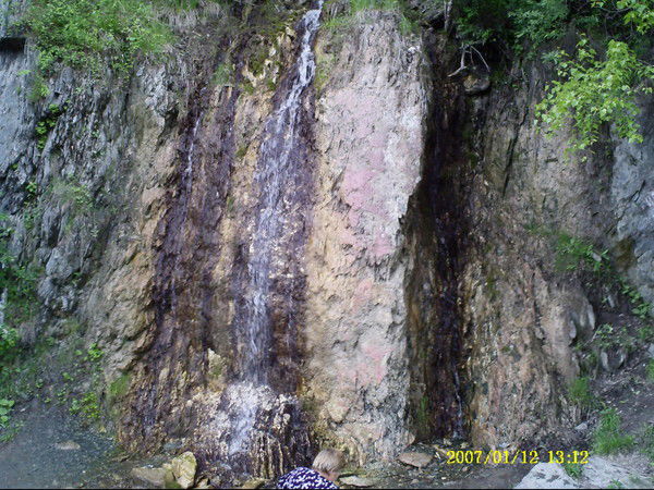 Наталья Анисимова