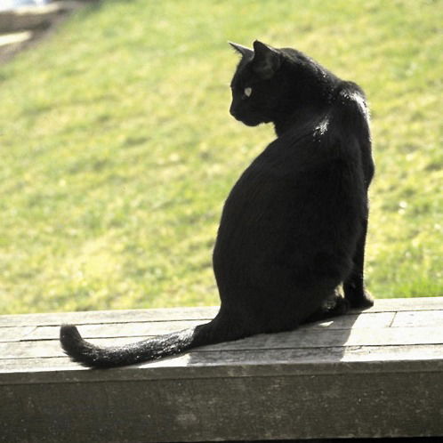 Татьяна Баранова