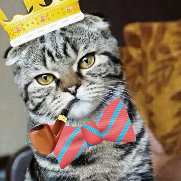 Архипова Екатерина