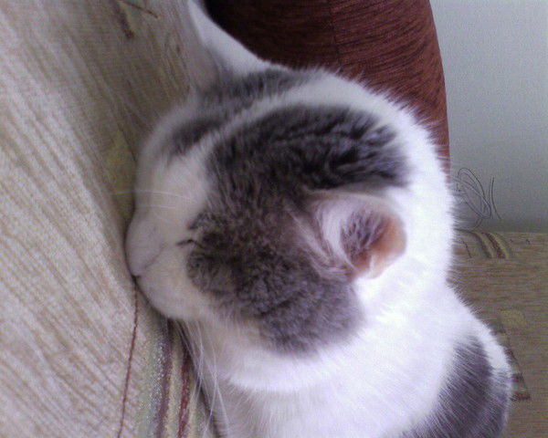 Юлия Хисматуллина