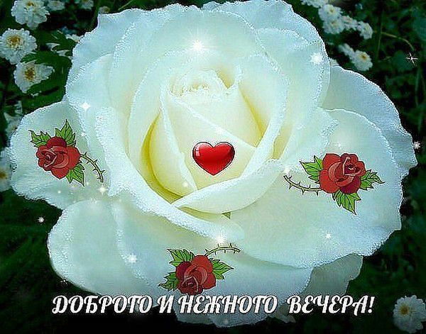 Галина Собко