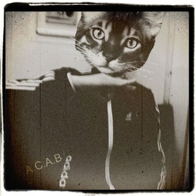 Костя Чернов