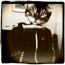 Костя Чернов