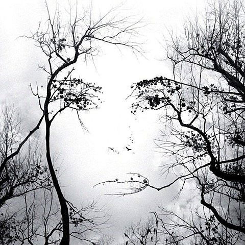 Елена Кондратьева