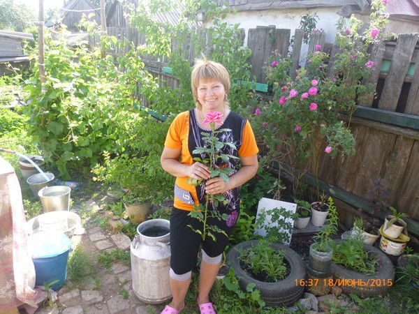 Надежда Илларионова