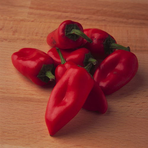 Александр Масленников