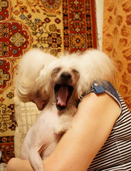 Арина Ивахненко